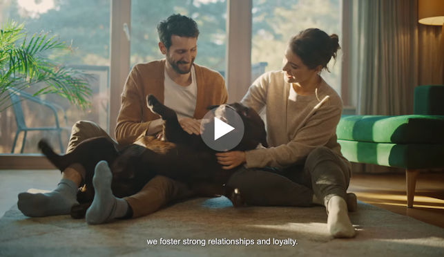 How do we Help Insurers to Succeed?