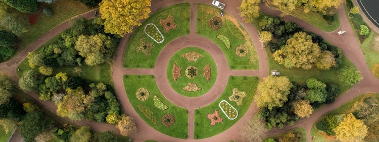 aerial photography of park