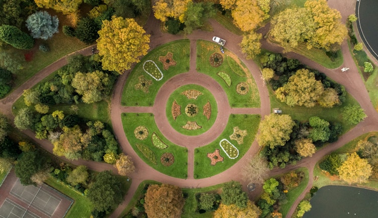 aerial photography of park