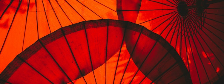 red and yellow umbrella illustration