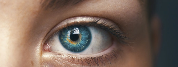 selective focus of blue-eyed person