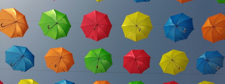 assorted-color umbrella lot