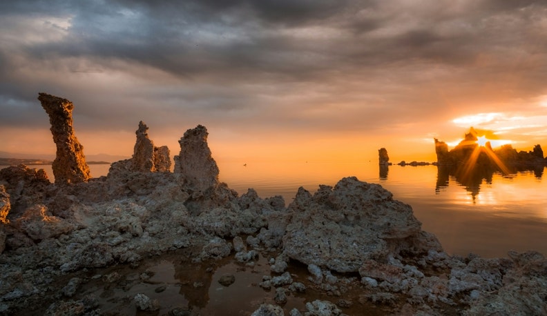 Sustainability in Insurance: Driving Change Through Innovation