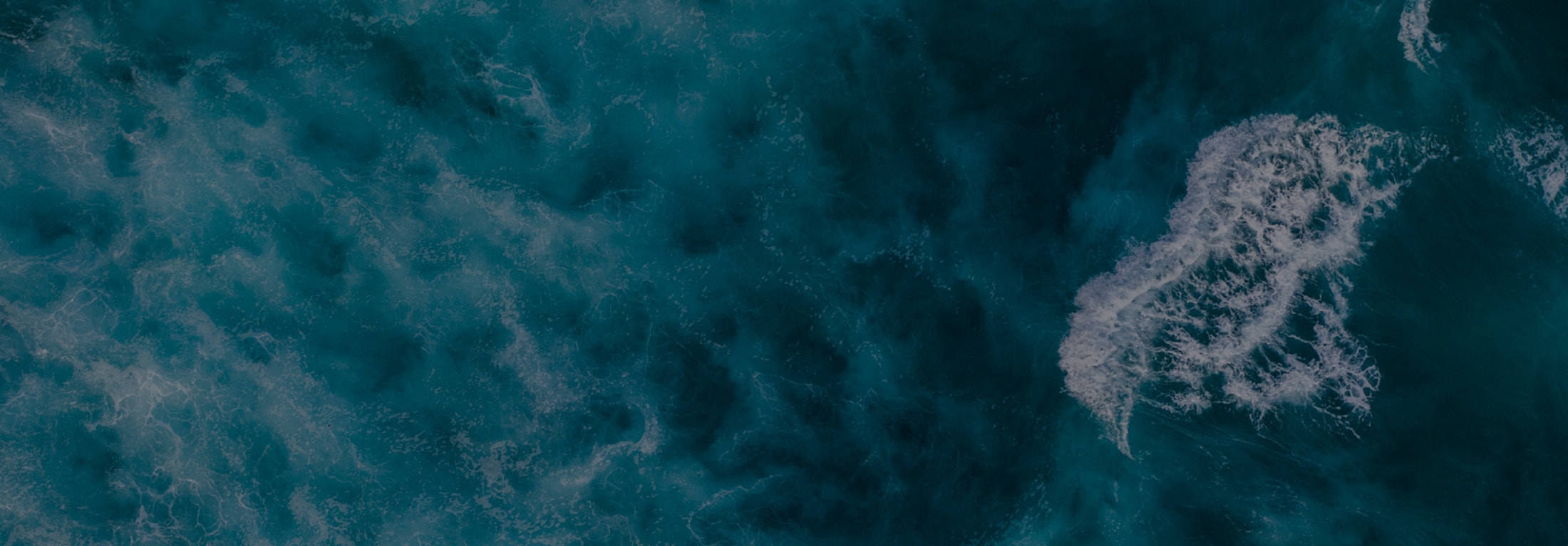 Banner media