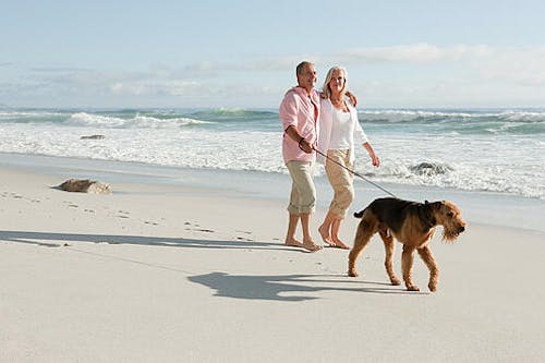 Couple with their dog on the beach