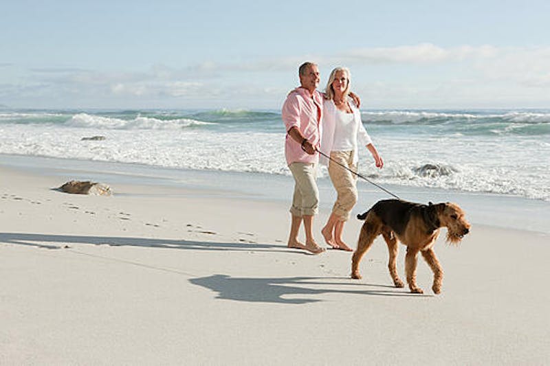 Couple with their dog on the beach
