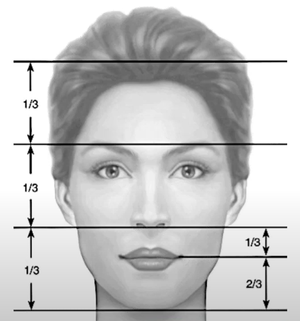 Ideal nose shape from front