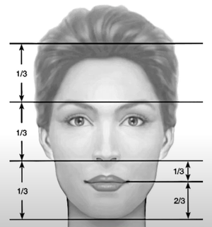 nose types chart