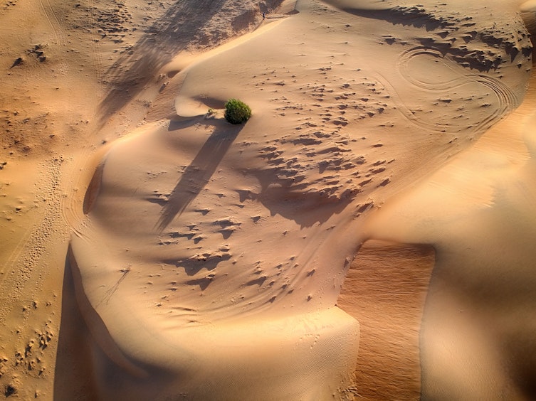 Desert background image