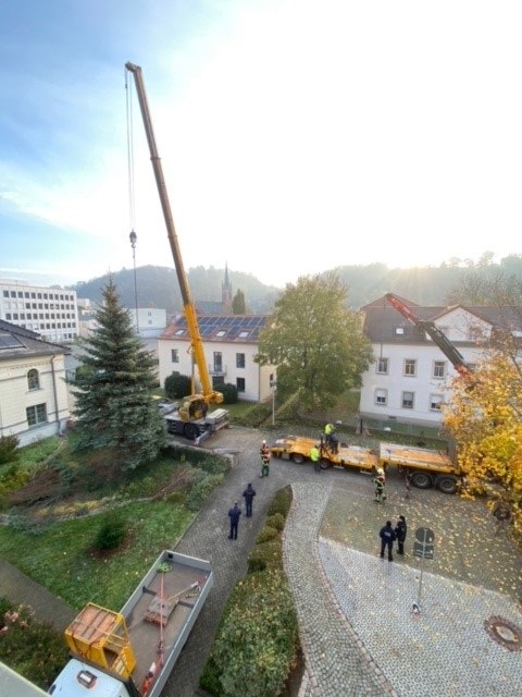 Ein großer Kran hebt eine große Tanne in einem gepflasterten Innenhof zwischen mehreren weißen Gebäuden, während einige Personen am Boden stehen und zuschauen, umgeben von Baumlaub im Herbst.