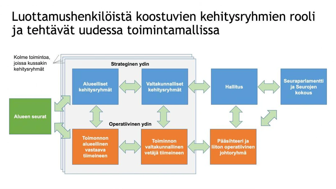 Palloliiton kehitysryhmien rooli ja tehtävät kuvattuna