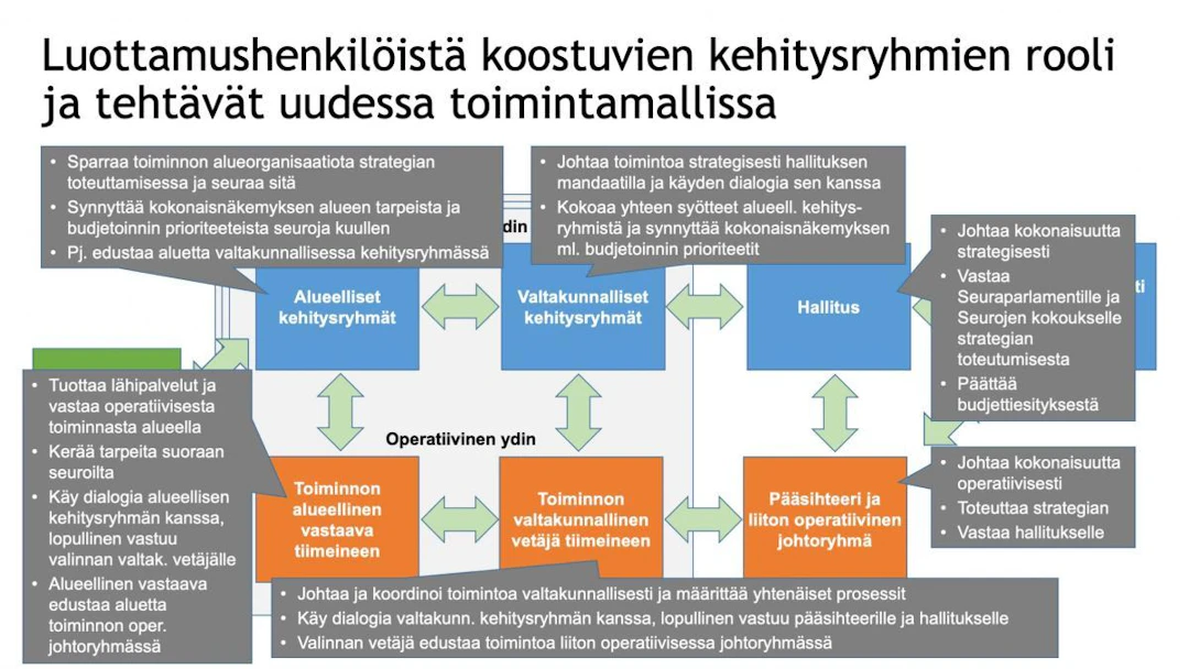 Palloliiton kehitysryhmien rooli ja tehtävät avattuna