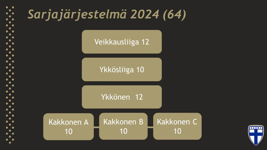 Miesten jalkapallon sarjajärjestelmä kaudella 2024.