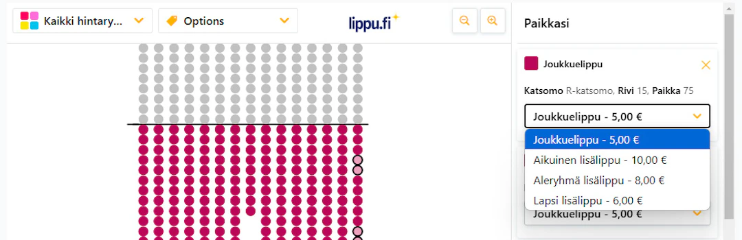 Joukkuelippu lisäliput
