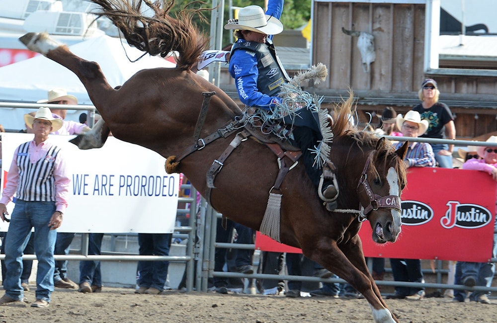 ProRodeo Tour - Puyallup Finals - RESCHEDULED TO 2021