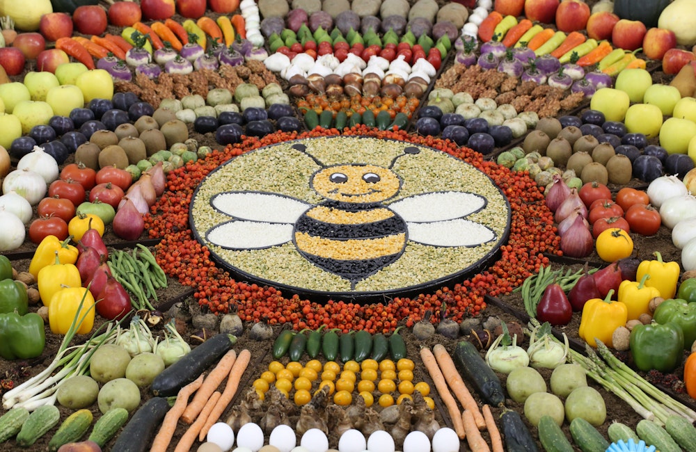 Agriculture & Horticulture Displays