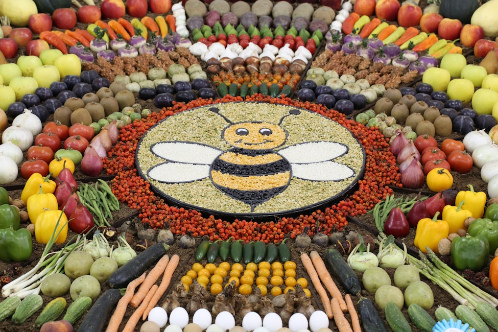 Agriculture & Horticulture Displays