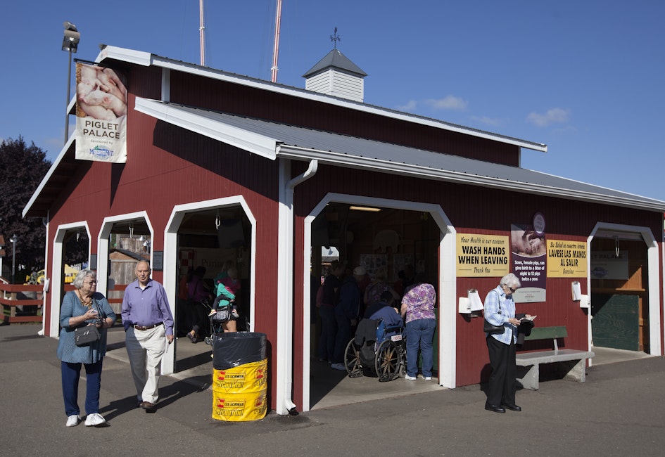 Barn R - Piglet Palace