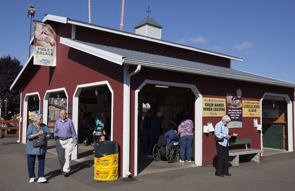 Barn R - Piglet Palace