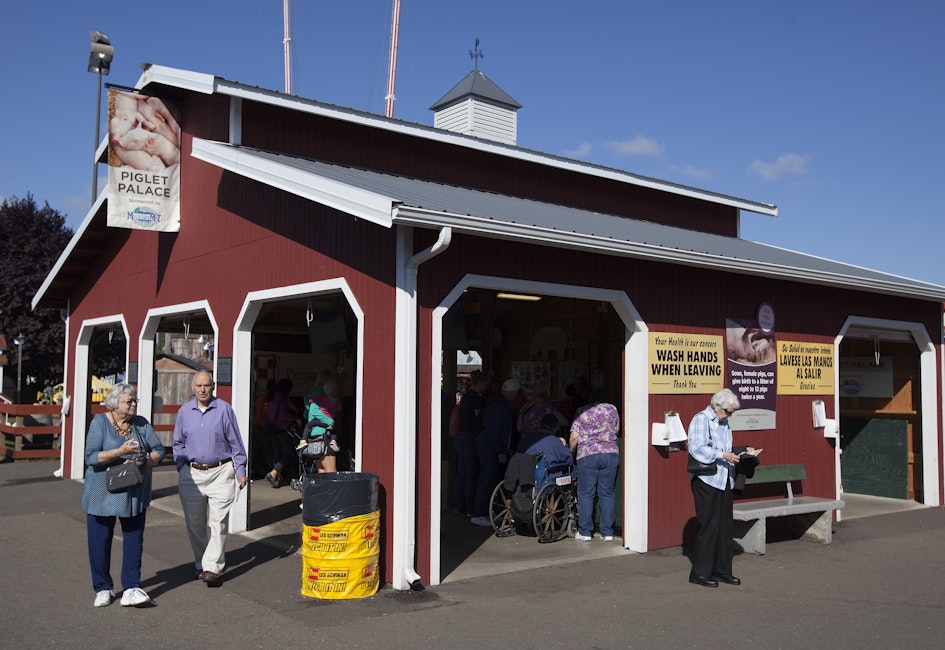 Barn R - Piglet Palace