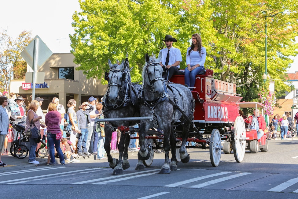Tvkzjf1gwz Xkm Washington State Fair Events List 2022