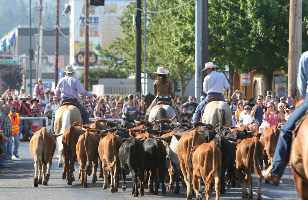 Western Rodeo Parade & Cattle Drive