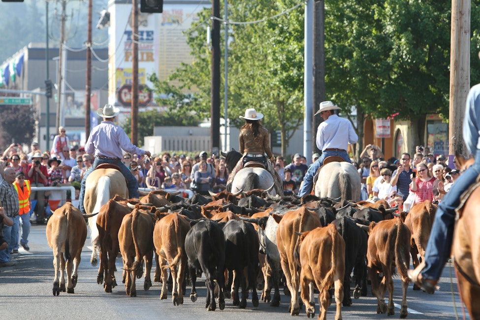 Western Rodeo Parade & Cattle Drive