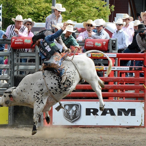 Washington State Fair in Puyallup - Aug. 30 - Sept. 22, 2019