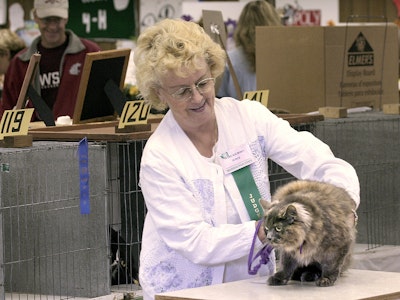 4-H Cats