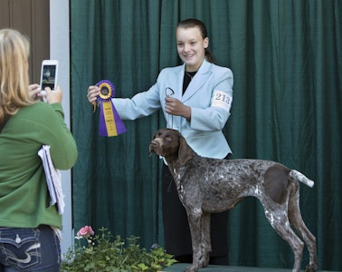 4-H Dogs