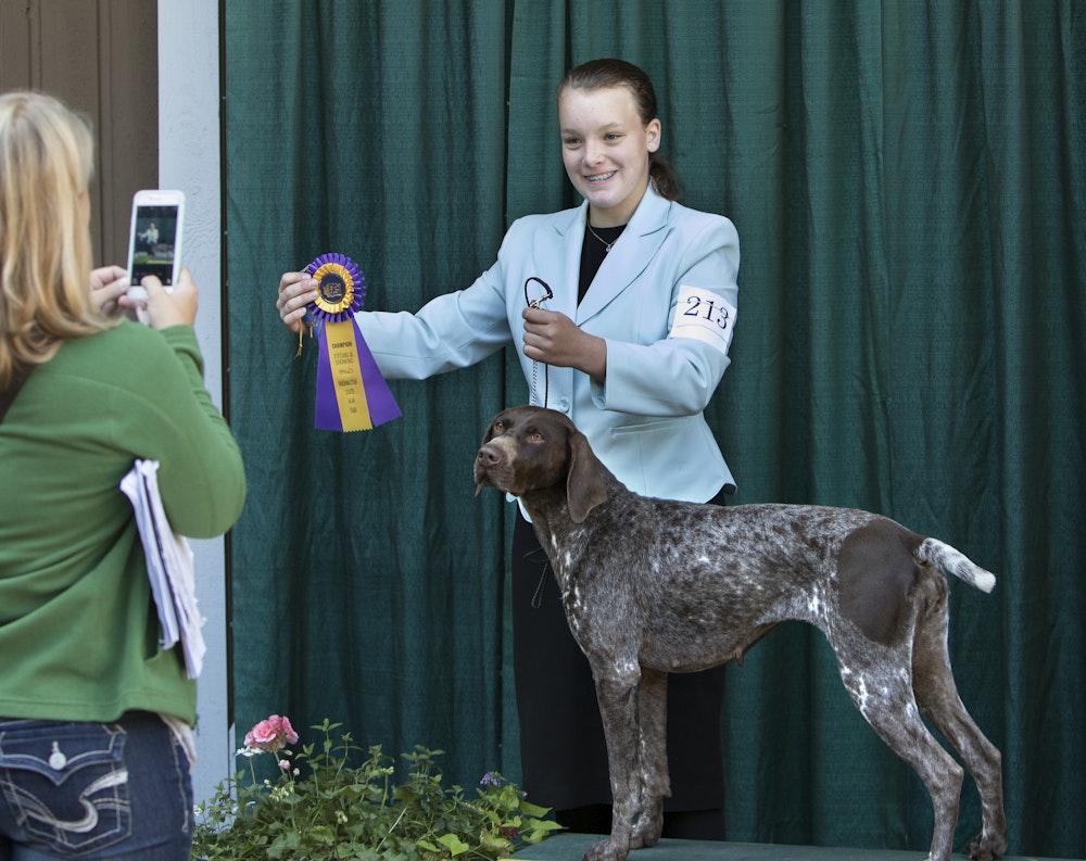 4 H Dogs Activities At The Fair 4-h-dogs-activities-at-the-fair
