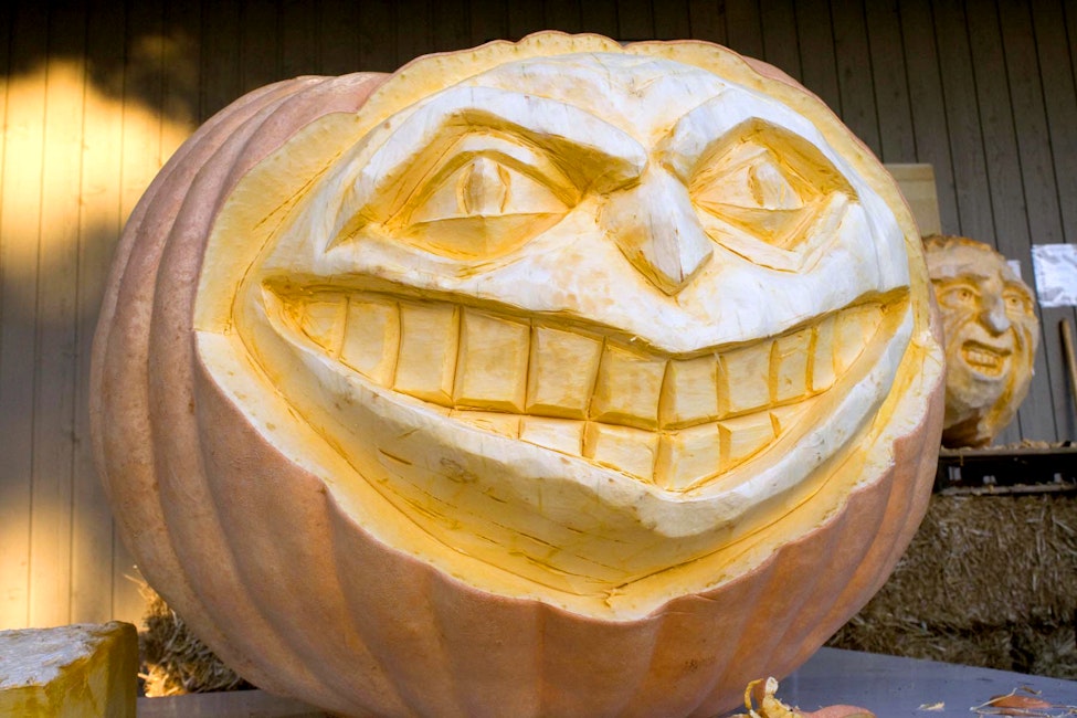 Giant Pumpkin Carving