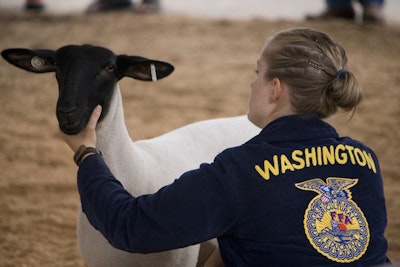 FFA Showcase Sheep Show