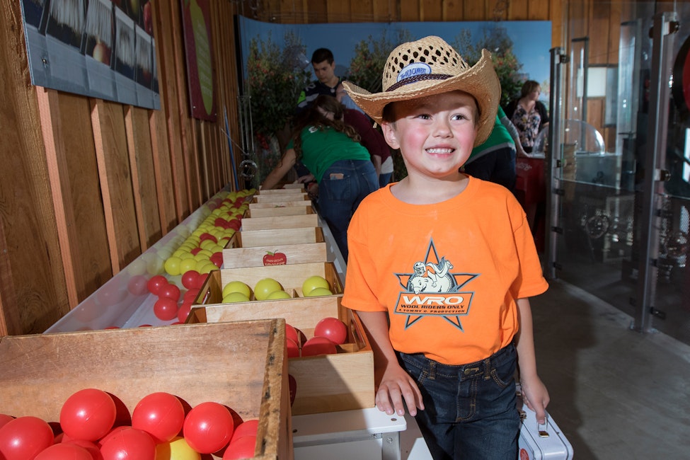 The Farm at SillyVille