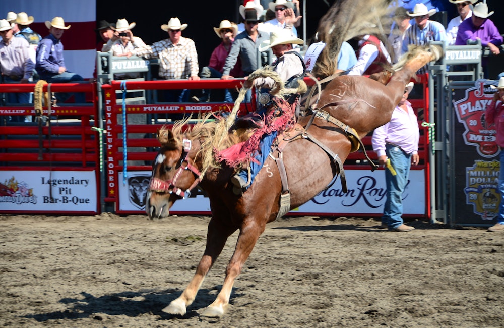 Puyallup Rodeo with Concert TBA - RESCHEDULED TO 2021