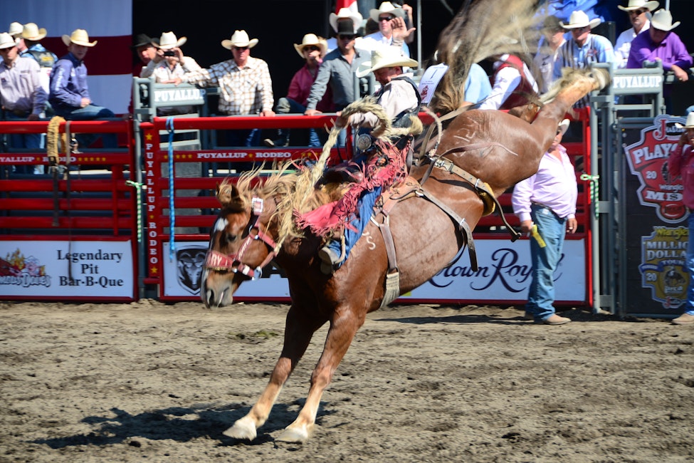 Puyallup Rodeo with Concert TBA - RESCHEDULED TO 2021
