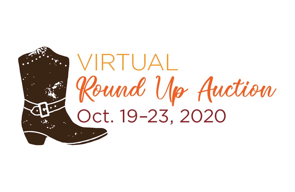 Round Up Auction