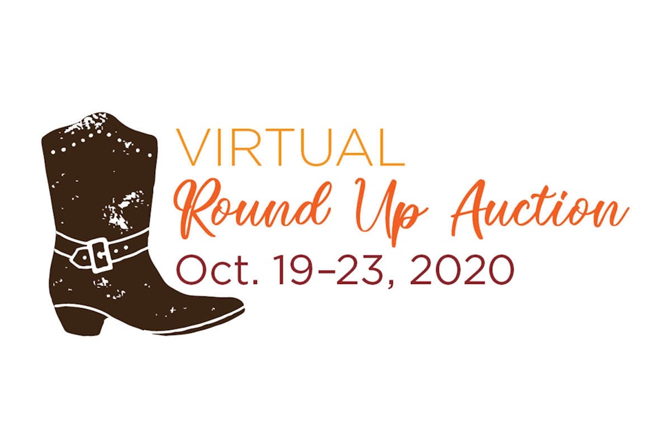 Round Up Auction
