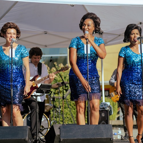 Music & Entertainment