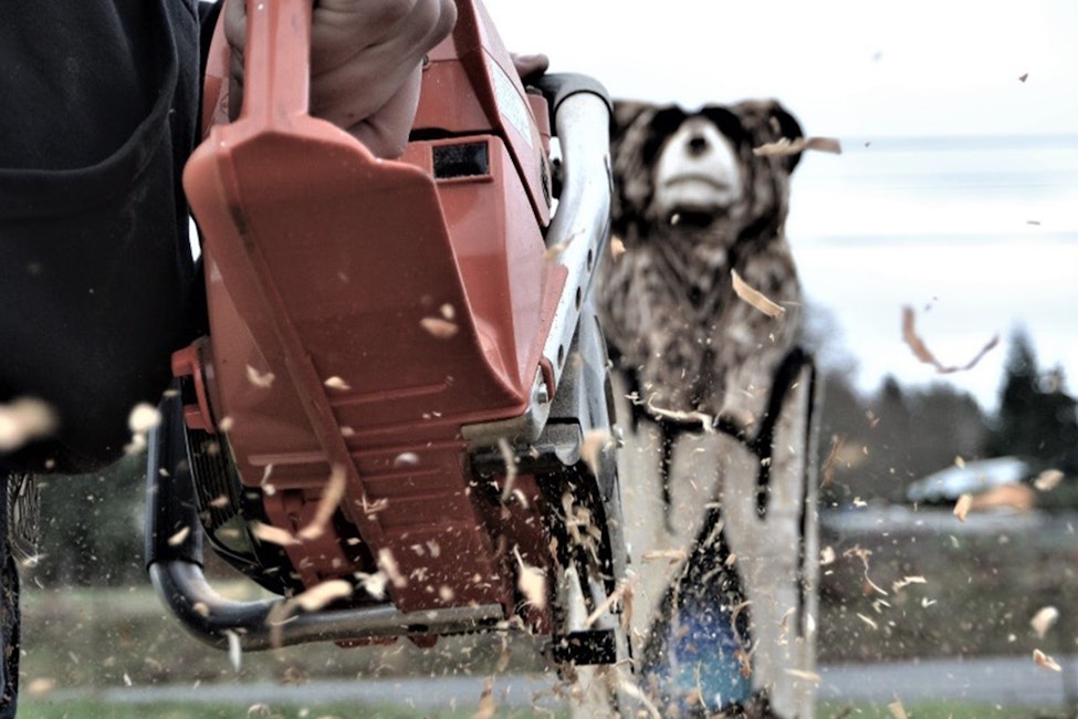 Chainsaw Carving Invitational