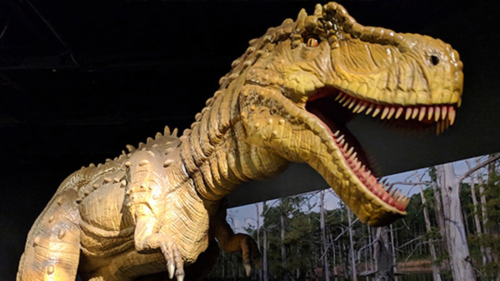 Expedition: Dinosaur Family 4-Pack