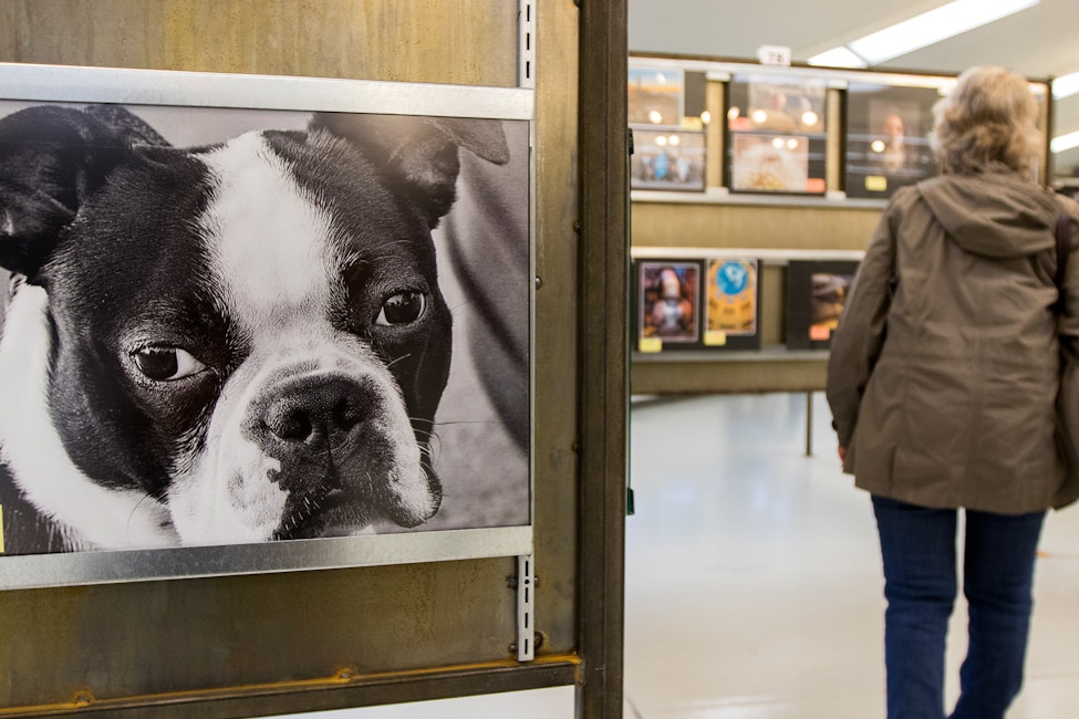 Cascadia Photographers Exhibition