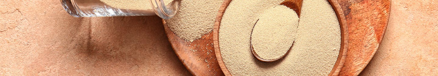 Mayanın Hikayesi Mayanın Hikayesi