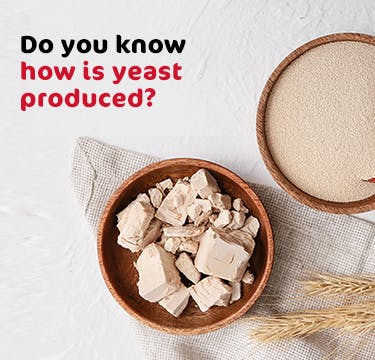 Do you know how is yeast produced?