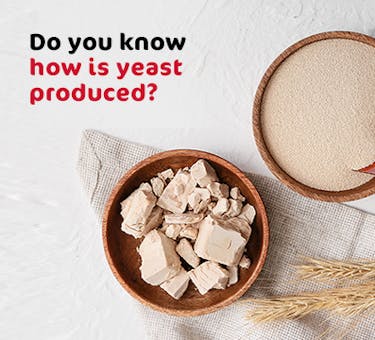 Do you know how is yeast produced?
