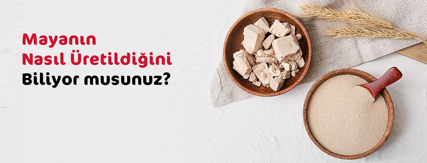 Mayanın Nasıl Üretildiğini Biliyor musunuz? Mayanın Nasıl Üretildiğini Biliyor musunuz?