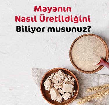 Mayanın Nasıl Üretildiğini Biliyor musunuz? Mayanın Nasıl Üretildiğini Biliyor musunuz?