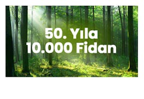 10,000 Trees on Our 50th Anniversary
