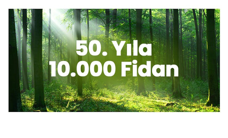 50. Yıl Dönümümüzde  10.000 Fidan 