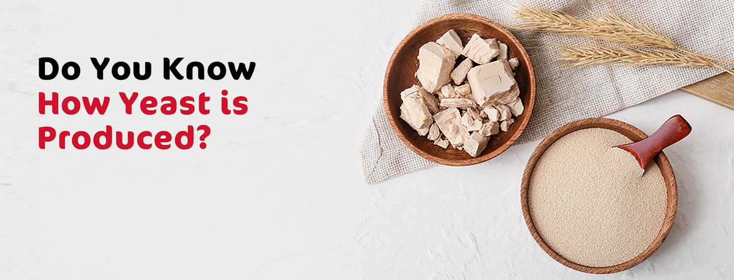 Do you know how is yeast produced? Do you know how is yeast produced?